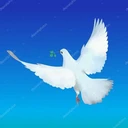 Celestial Word Radio