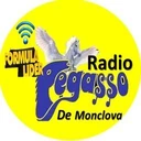 Pegasso de Monclova
