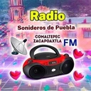 Sonideros de Puebla