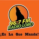 Radio Lobo