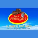 Radio Punta Lobos