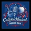 Callejón Musical Radio