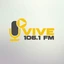 Vive Radio 106.1