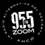 Zoom Radio