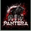 Pantera Radio Mexico